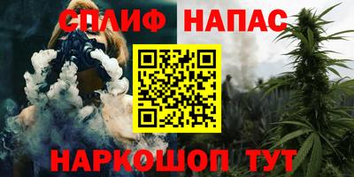 дживик Новоалександровск