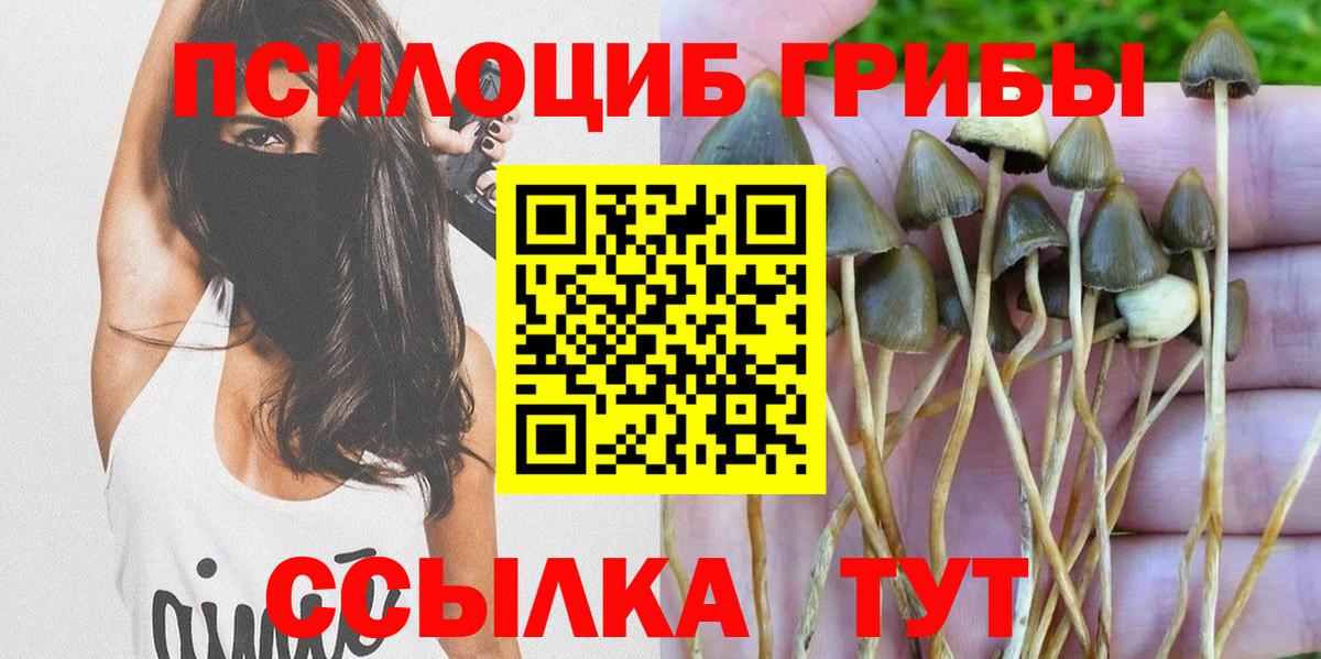 Грязи  Галлюциногенные грибы прущие грибы  Вход с VPN 